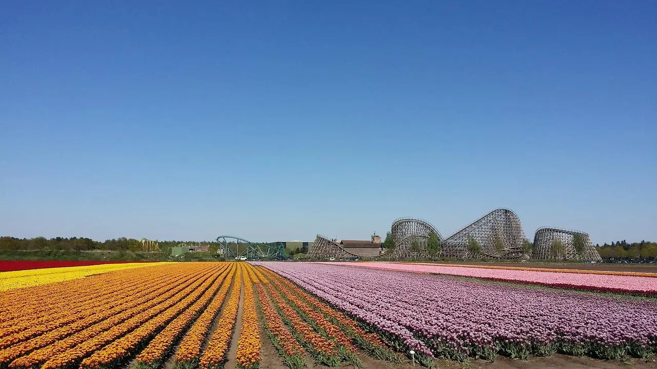 Wat te doen in Venlo